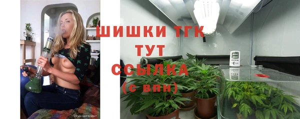 jwh Пересвет