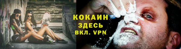 spice Абинск