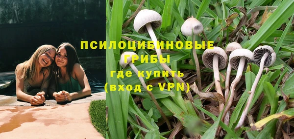 ECSTASY Пестово