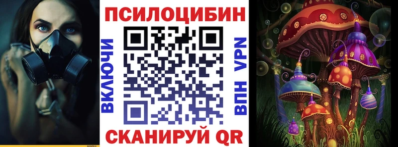 Псилоцибиновые грибы MAGIC MUSHROOMS  где купить наркоту  маркетплейс официальный сайт  Абинск 